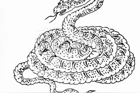 中国的妖怪《山海经》图片