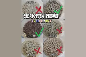 如何识别猫粮好坏 不要踩雷啊图片