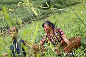 深山57岁单身汉，说做梦都没想到老了还娶了媳妇，看把日子过成啥图片