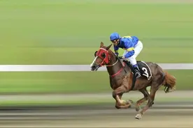 重磅！海南赛马要来了！按香港模式打造，海南将成为下一个香港图片