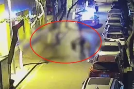 一条狗引发的血案！2伙人为条狗街头“约架”，3人受伤4人被刑拘图片