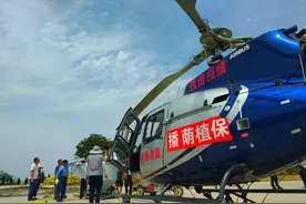 直升飞机来“种树”，10000亩荒山上播种13000多斤树种图片