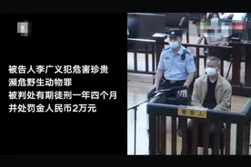 男子捕获中华鲟出售不成拿回家自己吃 一审获刑1年4个月罚2万图片