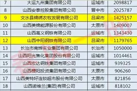 山西美锦能源图片