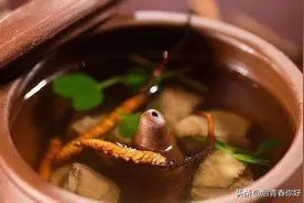 冬虫夏草怎么吃？一篇告诉你如何食用冬虫夏草的文章图片