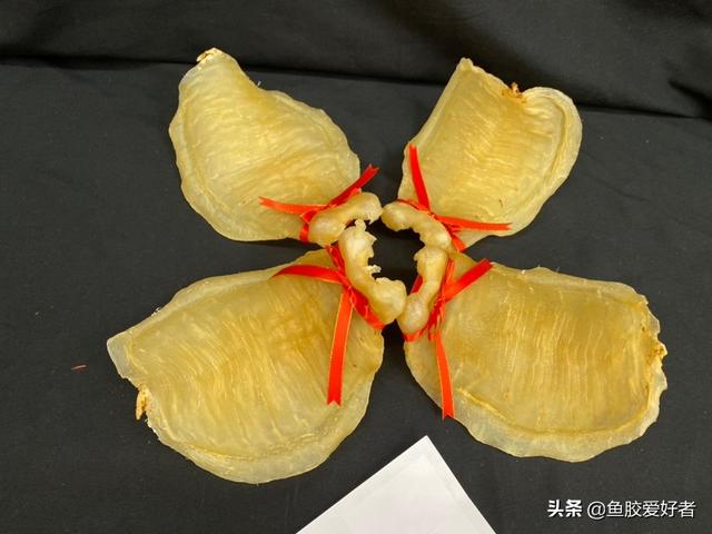 台山赤嘴鱼胶辨认 2026年赤嘴鱼胶真假 台山赤嘴鱼胶辨认 2026年赤嘴鱼胶真假