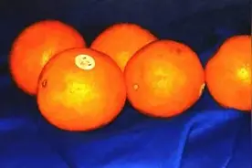《药妆品》读书笔记（3）：维生素C的作用图片