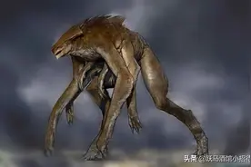 《哥斯拉》电影宇宙解读：穆托的完整生命周期图片