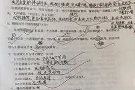 从六上语文第二单元检测中，发现语文要素落地是否扎实图片