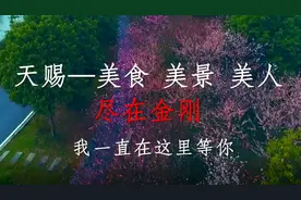 【浏视频】金刚，我一直在这里等你图片