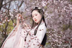 他年我若为青帝,报与桃花一处开。图片
