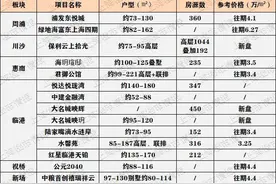 超全统计！300-500万预算，下半年可买的上海新盘都在这图片