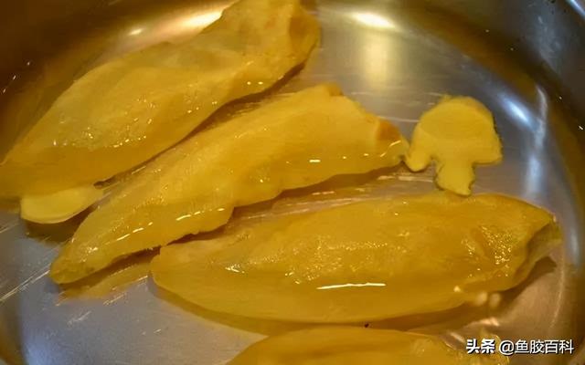 熟的花胶冷冻能存多久 2026年熟的花胶冷冻能存多久不坏