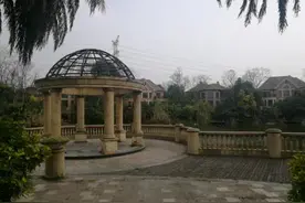 成都又一烂尾楼找不到接盘侠，走上拍卖席！独幢别墅有20幢图片