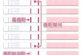 排卵试纸——你用对了吗？图片