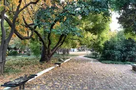没有儿子真的是一生的遗憾吗？从葬礼上我们略窥一二图片