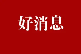 明起！淄博市10条城乡公交线恢复运行图片