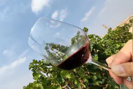 贺兰山东麓：宁夏红酒的历史情缘，库房里诞生的第一瓶宁夏干红图片