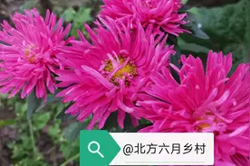 等闲变却故人心（之五）图片