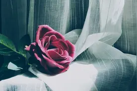 夫妻长久分居，女人的心理会有怎样的变化？图片