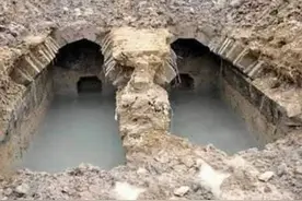 湖北出土2000年古墓，意外爬出一只“千年”乌龟，考古队被吓到图片