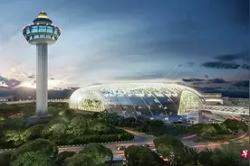8月最新！新加坡往返中国各大城市机票详情来啦图片