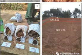 贵州水城—纳雍地区发现稀土与钪钛矿层，圈定4个中大型规模靶区图片