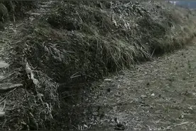 村医扶贫，她背着药箱行走在悬崖峭壁图片