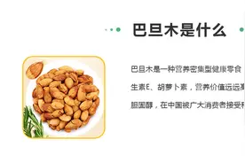 巴旦木苗木哪里出售？山东是否能种植巴旦木树苗？图片