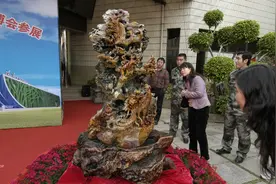 5年时间在600公斤奇石上，雕出凤凰和小鸟，开价1.3亿8年无人问津图片