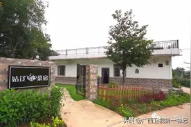 十万大山中，千年野茶树，这里的姑辽茶自带仙气图片