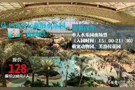 莫干山开元森泊夜场票水乐园+萌宠动物园+芙洛拉花园！盛大开启图片