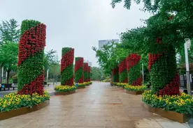 【一起学党史 书记有话说】牢牢根植人民 建设人民城市图片