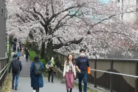 日本女孩翻唱中国抗疫歌曲，暖了！图片