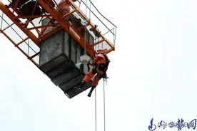 悬挂25米高空“摘星”！神剑园二期工地塔吊“长”了3个马蜂窝图片
