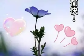 有一种默契，叫做心照不宣；有一种感觉，叫做妙不可言，早安图片