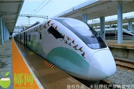 一等七折！二等八折！海南环岛高铁6趟动车组票价打折优惠图片
