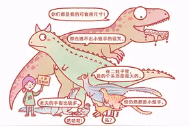 活跃在中生代夜幕中的小精灵——阿尔瓦雷斯龙类的奇妙演化之路图片