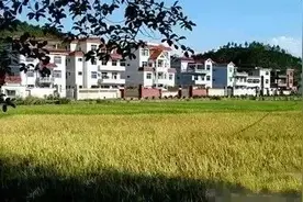 【最新消息】涨价了！广西最新征地补偿标准出炉！图片