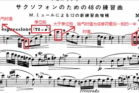【深度内容】萨克斯演奏常识之换气图片