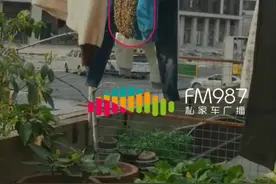 几十万人围观的这窝蜜蜂，被福州一男子徒手收走了图片