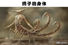 如果人类有了这7种动物的身体素质，会变得多强？图片
