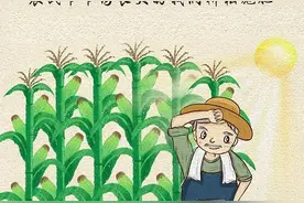 一粒种子的“自述”图片