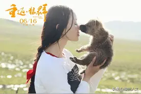 纪实片《重返·狼群》讲述人与动物和谐相处感人故事图片
