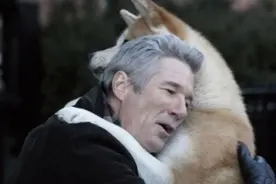 忠犬八公的故事：我会一直在这里等你，直到死去。图片