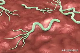 二联方案治疗幽门螺杆菌，疗效优于传统方案图片