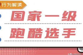 猫咪突然疯了一样满屋乱窜，这是怎么了？图片