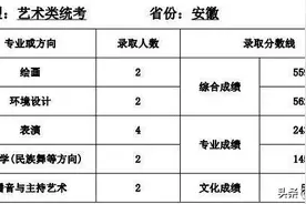天津师范大学2020年艺术类本科专业录取分数线图片