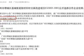 70亿，新世界中国再拿旧改，增城K11要来图片