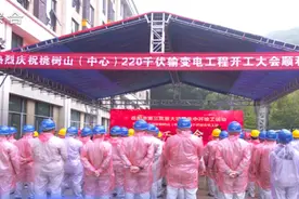 岳阳市第三批重大项目集中开竣工仪式举行图片